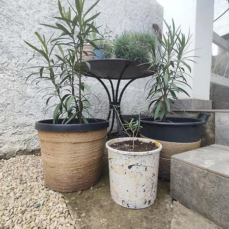 בית הארחה Casa Fara 3*